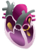 MMVD